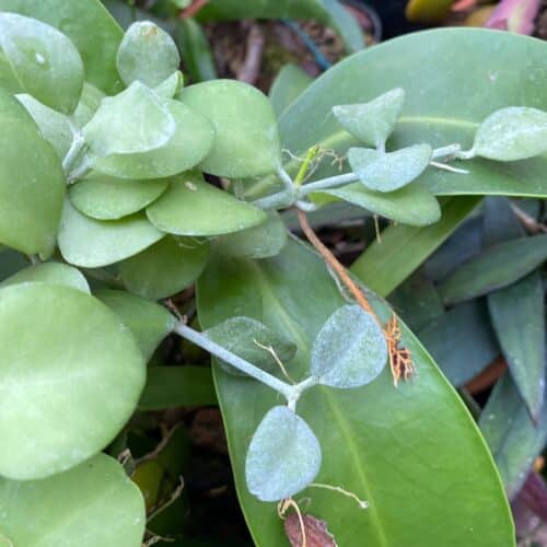 R1r3KY1cN72HLD2Ml3Th.jpg R1r3KY1cN72HLD2Ml3Th.jpg