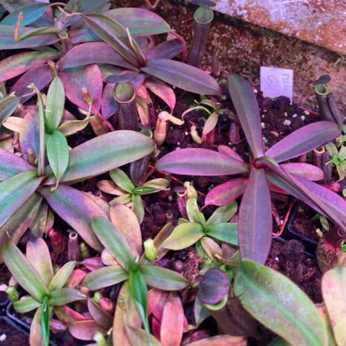 R9IANDC82o9WRYmC7ZcG.jpg R9IANDC82o9WRYmC7ZcG.jpg