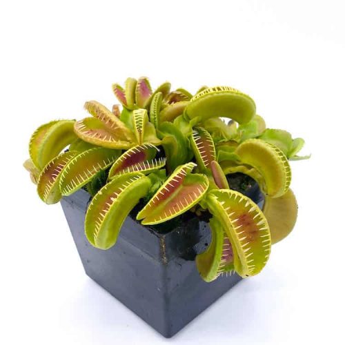 RROWLJATkaXYl04V6RTI.jpg RROWLJATkaXYl04V6RTI.jpg