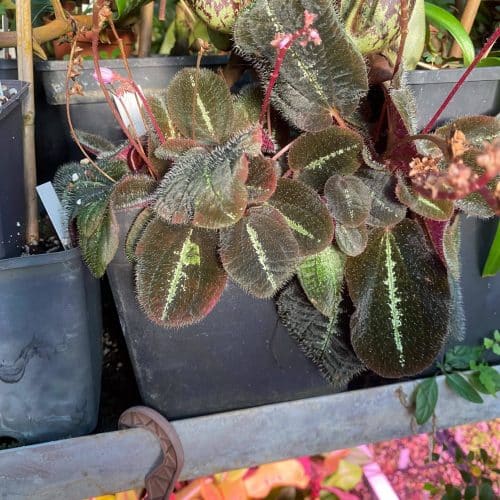 RToSa4sfctfSaBBxnDNe.jpg RToSa4sfctfSaBBxnDNe.jpg