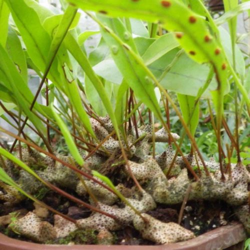 RUiuuCSeCLoxZmcZfIV4.jpg RUiuuCSeCLoxZmcZfIV4.jpg