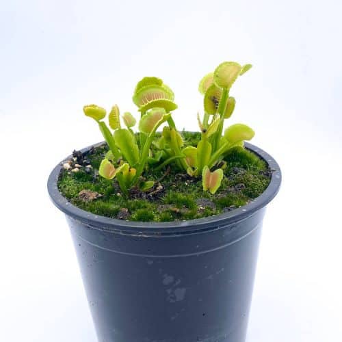 RWySc5kWKYgzgqhIePTl-1.jpg RWySc5kWKYgzgqhIePTl-1.jpg