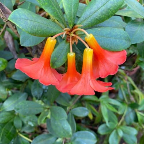 Rahm86taKH40yA2OypHk.jpg Rahm86taKH40yA2OypHk.jpg