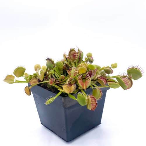 RcQNW4VgXf3JL5bfsVIC-1.jpg RcQNW4VgXf3JL5bfsVIC-1.jpg