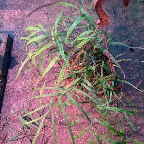 S2B4gRQLz4zrFXByWR35.jpg S2B4gRQLz4zrFXByWR35.jpg