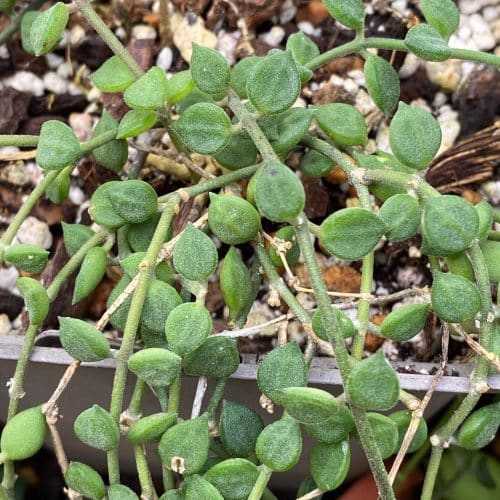 S3uJGXSHUaQtwf6u0lfD.jpg S3uJGXSHUaQtwf6u0lfD.jpg