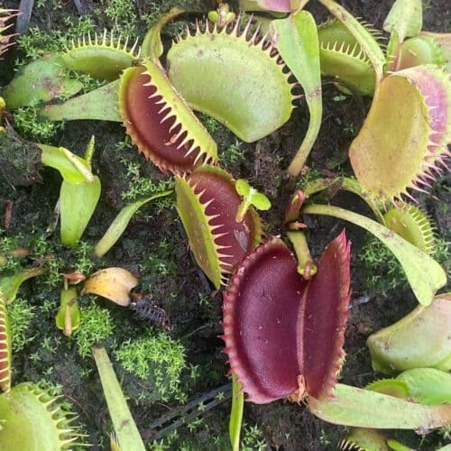 SBldUhqYvigm1IHk3ZMR.jpg SBldUhqYvigm1IHk3ZMR.jpg