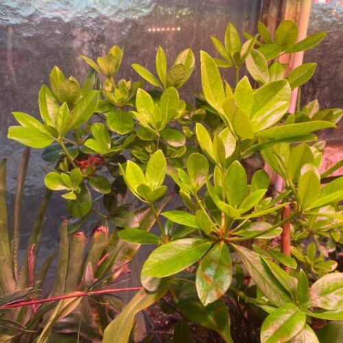 SElLhMmEoUSEQAUGLnbw.jpg SElLhMmEoUSEQAUGLnbw.jpg