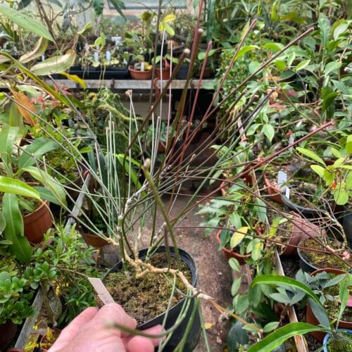 SLDGMiLfnHBpA46ichrc.jpg SLDGMiLfnHBpA46ichrc.jpg