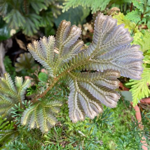 SM4GX3l4AJjHwpS75nCw.jpg SM4GX3l4AJjHwpS75nCw.jpg