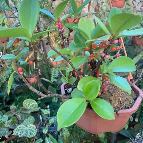 SQVkPKViZVH8dgsUTNLs.jpg SQVkPKViZVH8dgsUTNLs.jpg