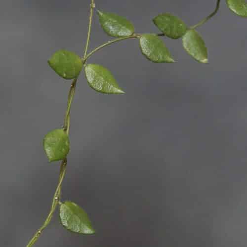 SdsqFSnxLC9jvmYT8DfD.jpg SdsqFSnxLC9jvmYT8DfD.jpg