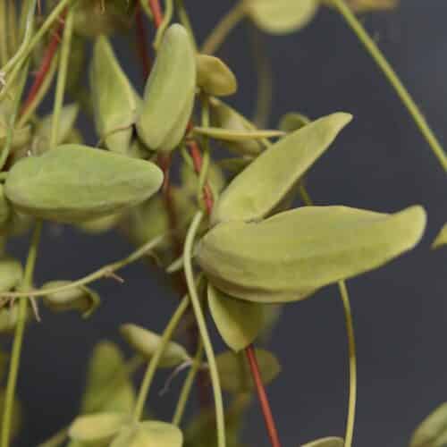 Sk6JmIK9H06Ans1sH54I.jpg Sk6JmIK9H06Ans1sH54I.jpg