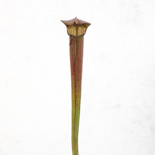 SoOlQhYjV1tFNC2DW4j5.jpg SoOlQhYjV1tFNC2DW4j5.jpg