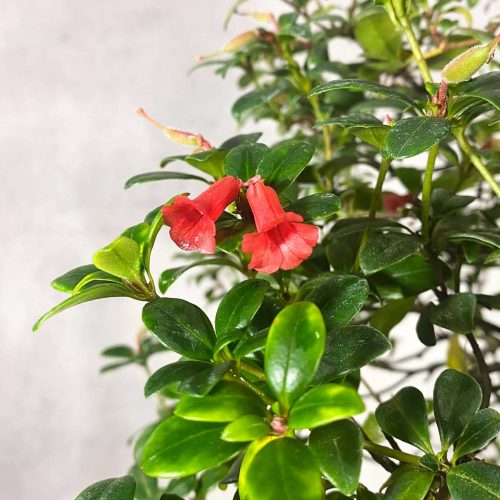 SyRGTpEhb9phmYc0fuZb.jpg SyRGTpEhb9phmYc0fuZb.jpg