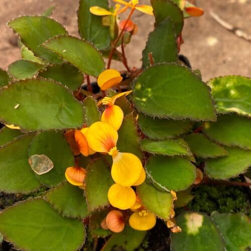 TB9nkPC1RBPW1FDsnm7i.jpg TB9nkPC1RBPW1FDsnm7i.jpg