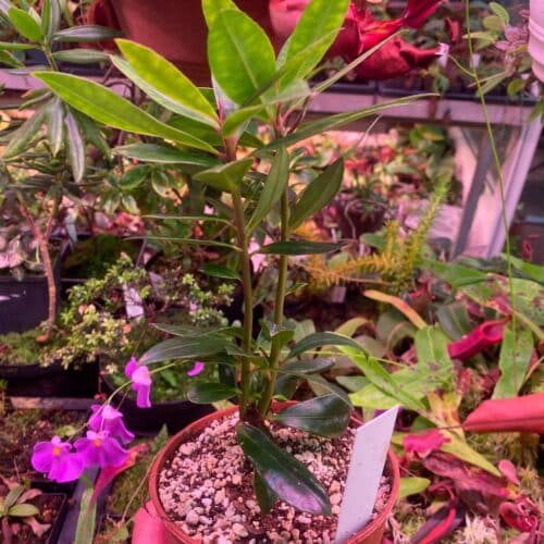 TDLenQEVJ46pSD8Udyp0.jpg TDLenQEVJ46pSD8Udyp0.jpg