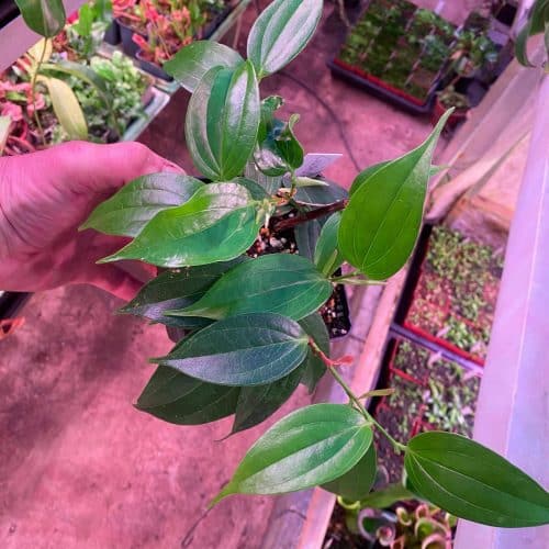 TLIdAlpKhfD4D8zYuaij.jpg TLIdAlpKhfD4D8zYuaij.jpg