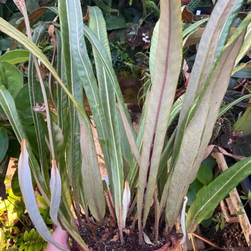 TO22jwJwyjqFIainSztz.jpg TO22jwJwyjqFIainSztz.jpg