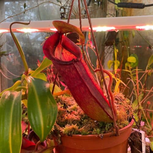 TOl3XGsDAEDSQgTAh2ka.jpg TOl3XGsDAEDSQgTAh2ka.jpg