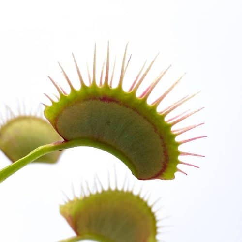 TQ3VW1jT4S93bhGYClrN-1.jpg TQ3VW1jT4S93bhGYClrN-1.jpg