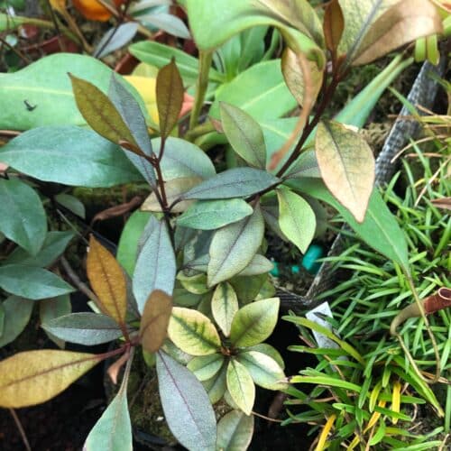 TR57QOdvmsRlWjST3PpK.jpg TR57QOdvmsRlWjST3PpK.jpg