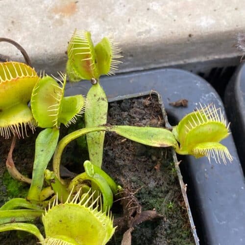 TW3jFb78UUhwdGZilaVA.jpg TW3jFb78UUhwdGZilaVA.jpg