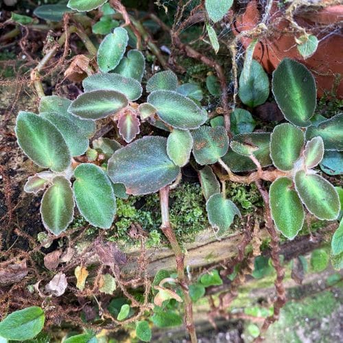 TYWw8M7y1st4zaq6IsWM.jpg TYWw8M7y1st4zaq6IsWM.jpg