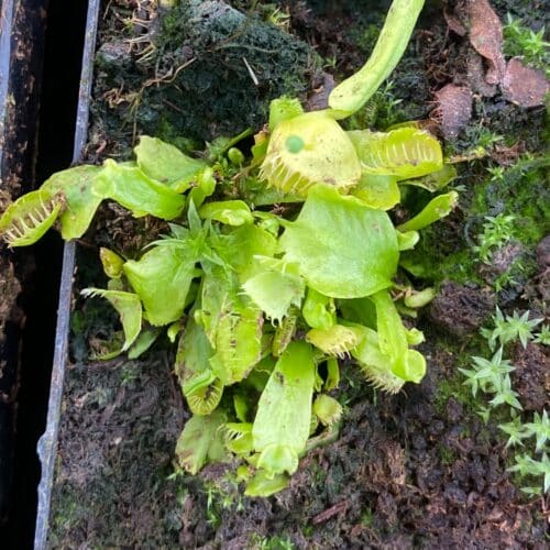 TgWI4Na8pkX5BJE1NQLe.jpg TgWI4Na8pkX5BJE1NQLe.jpg