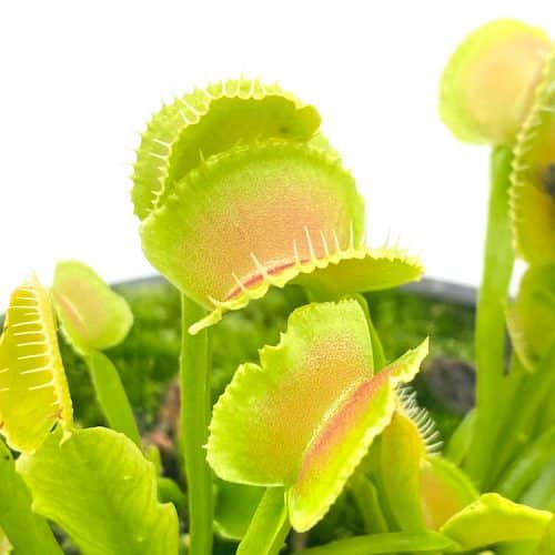 TmoukkpNBOjZDIn93lOd-1.jpg TmoukkpNBOjZDIn93lOd-1.jpg