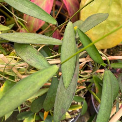 TrjRqSIMCsj4gy20FCk5.jpg TrjRqSIMCsj4gy20FCk5.jpg