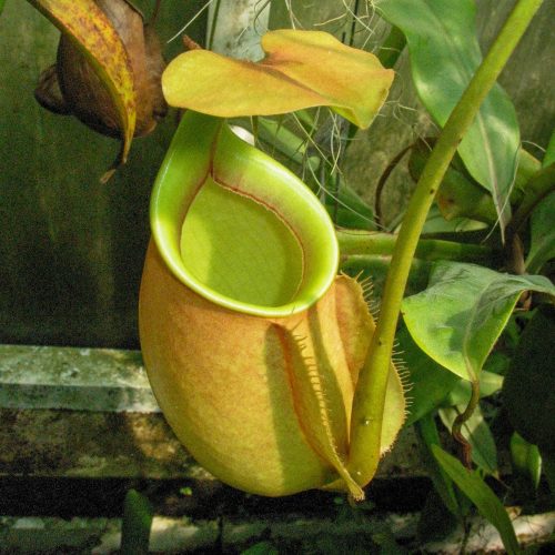 U0WhM8Ne2UR1ZGbFcnCp.jpg U0WhM8Ne2UR1ZGbFcnCp.jpg