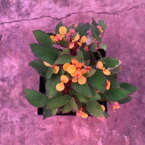 U0tCkPab3OnYfmjPhqSI.jpg U0tCkPab3OnYfmjPhqSI.jpg