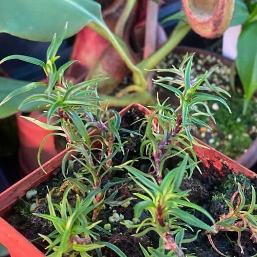 UMDixD7oYuC2KygTECjd.jpg UMDixD7oYuC2KygTECjd.jpg