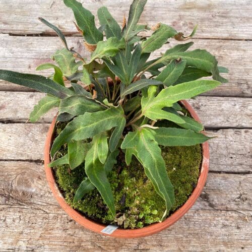 UMFDtCXkKJaQ5w10kj6M.jpg UMFDtCXkKJaQ5w10kj6M.jpg