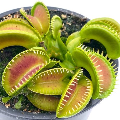 US9AROFmB8eqMh9tNVdU.jpg US9AROFmB8eqMh9tNVdU.jpg