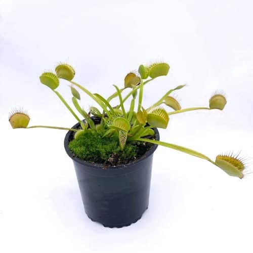 Uaa0BohdHCKyFoLiSjnz-1.jpg Uaa0BohdHCKyFoLiSjnz-1.jpg