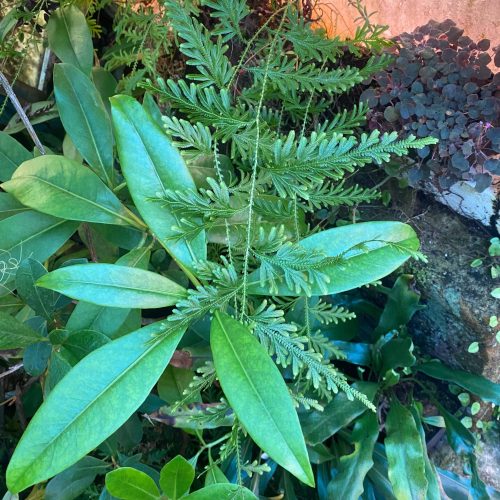 Un9GjFLIl9K6BI91BEKB.jpg Un9GjFLIl9K6BI91BEKB.jpg