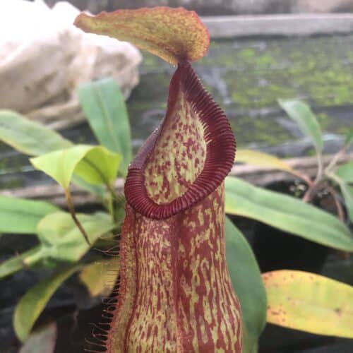 UqbI24JbGPoSZliKy1Qs.jpg UqbI24JbGPoSZliKy1Qs.jpg