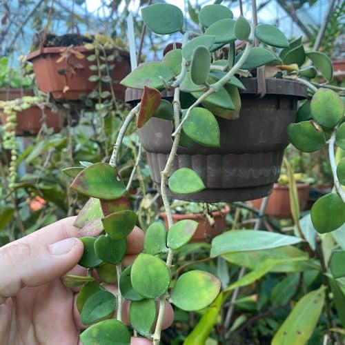 V3LS7kbYP93nqGsfdB6h.jpg V3LS7kbYP93nqGsfdB6h.jpg