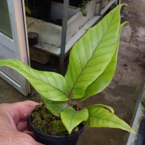 V9ezcihpyDvKgrjOk62Q.jpg V9ezcihpyDvKgrjOk62Q.jpg