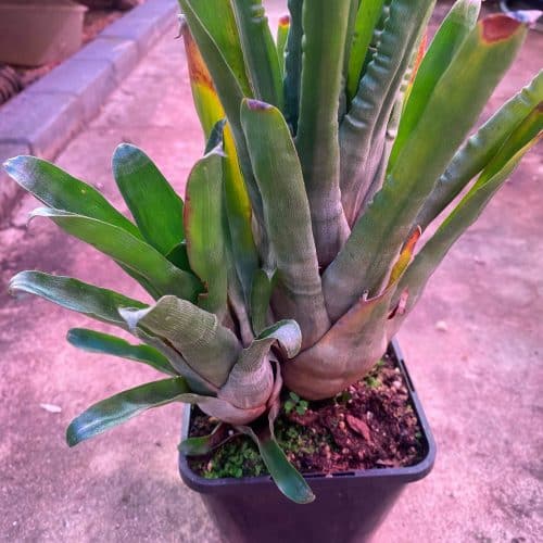 VAtQxkW9cjcdtj0IFdnz.jpg VAtQxkW9cjcdtj0IFdnz.jpg