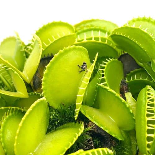 VGFG4ywGZhzJnTmk3JNp.jpg VGFG4ywGZhzJnTmk3JNp.jpg