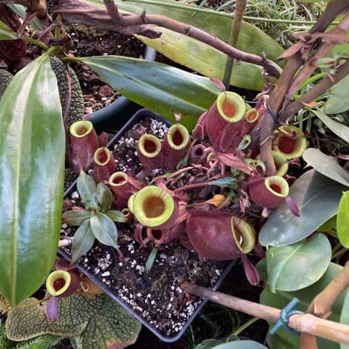 VJFBAtj0dId9rHhdvF8E.jpg VJFBAtj0dId9rHhdvF8E.jpg