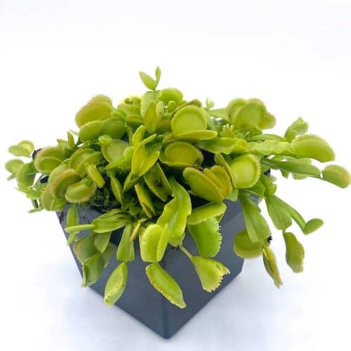 VMruHFzh6isKWvSVfFHA-1.jpg VMruHFzh6isKWvSVfFHA-1.jpg