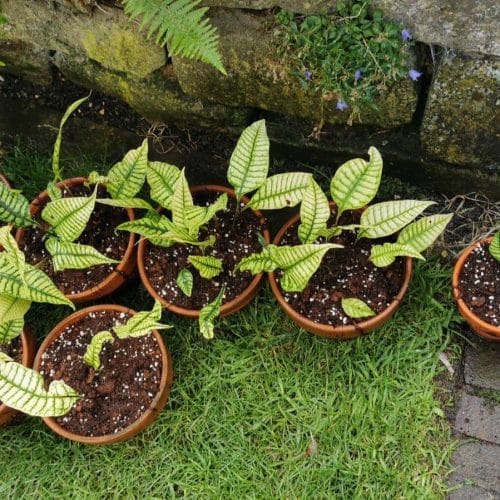 VQKvEP0j0aGCeBWWtE5g.jpg VQKvEP0j0aGCeBWWtE5g.jpg