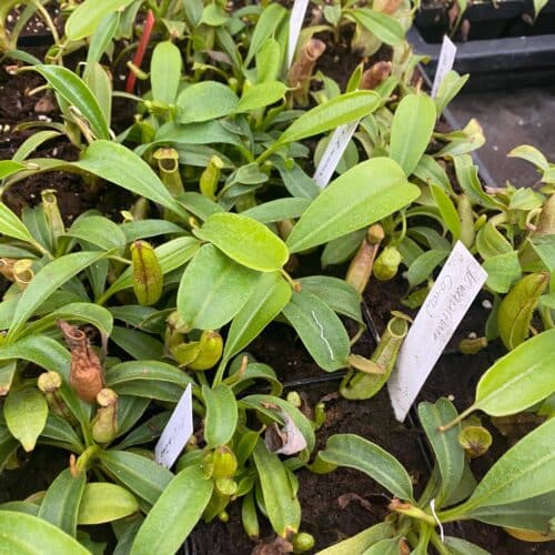 VvWflqMIT849SHepgDQm.jpg VvWflqMIT849SHepgDQm.jpg