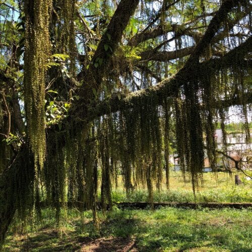 VxJYLhQrVI7InJ6ZzagJ.jpg VxJYLhQrVI7InJ6ZzagJ.jpg