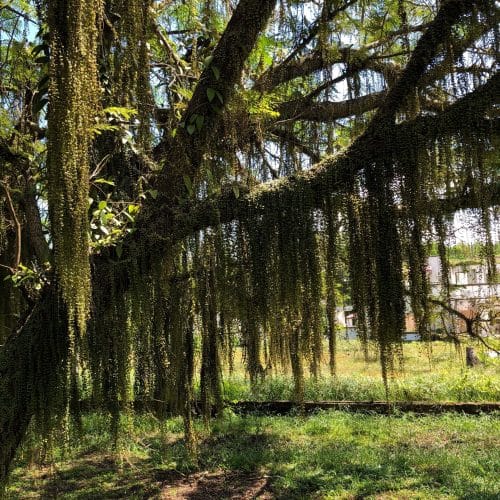 VxJYLhQrVI7InJ6ZzagJ.jpg VxJYLhQrVI7InJ6ZzagJ.jpg