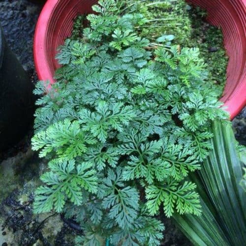 W2GaIQZ3NzhFVsBTVX4r.jpg W2GaIQZ3NzhFVsBTVX4r.jpg